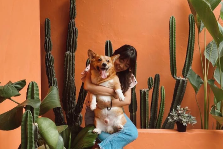 Tangkapan Layar Instagram Lazy Boss Caffe