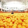 Centrum Million Balls Bandung, Harga Tiket, Jam Buka, dan Daya Tarik