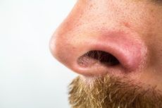 Mengapa Pria Memiliki Hidung Lebih Besar?