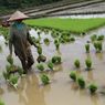 Di Tengah Cuaca Ekstrem, Kementan Dorong Petani di Gianyar Manfaatkan Asuransi