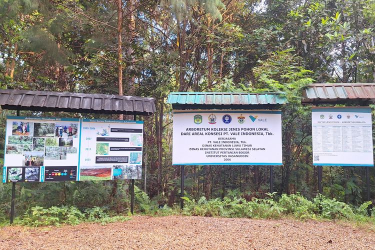 Papan informasi yang menjelaskan perkembangan dan tujuan dari Arboretum Himalaya Hill, yang dikelola oleh PT Vale Indonesia sebagai bagian dari konservasi dan restorasi ekosistem hutan.