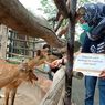Sumbang Pakan untuk Satwa di Mazoola, WSL: Hewan Juga Butuh Makan