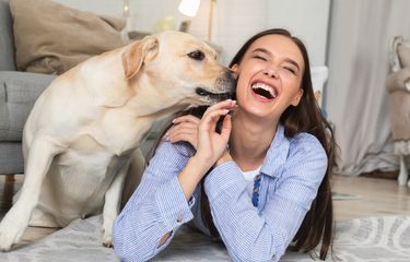Bisakah Anjing Merasakan Emosi Manusia? Ini Penjelasannya Halaman ...