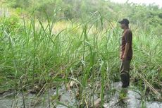 Longsoran Menutup Sungai, Sawah dan Permukiman Warga Terancam Banjir