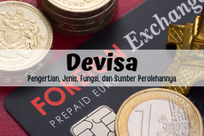 Pengertian Devisa, Jenis, Fungsi, dan Sumber Perolehannya