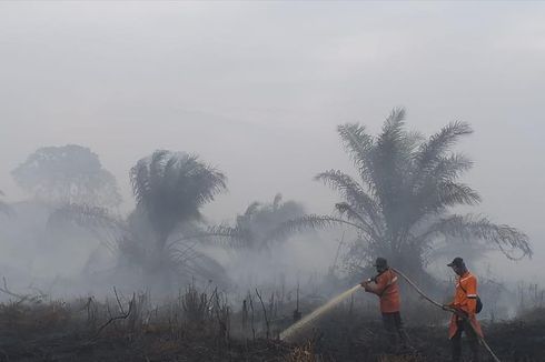 Cerita Pemadaman Karhutla Riau: Gambut Sedalam 2 Meter, Kabut Asap Pekat, hingga Sulitnya Akses Air