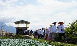 Petrokimia Gresik Bina Pertanian Berkelanjutan di Malang