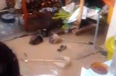 Fahri Hamzah: Perlu Ada Lembaga Atur Percepatan Pembangunan Hunian Sosial