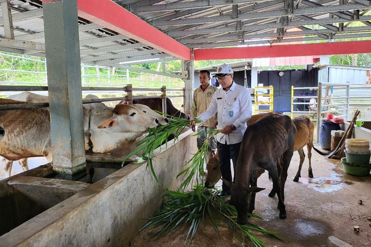 Biro BMN Sekretariat Jenderal Kemenimipas melakukan pemantauan aset negara di Pulau Nusakambangan, Selasa (29/10/2025). 