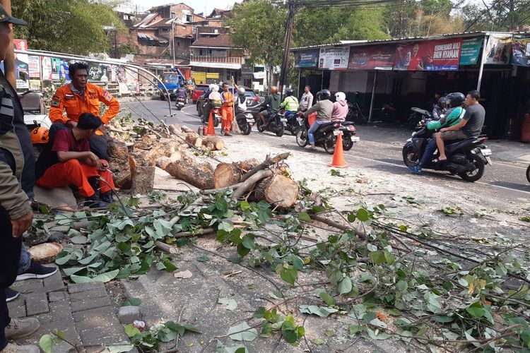 Pohon tumbang mengakibatkan dua orang terluka terjadi di dekat jembatan Jalan Raya Bandulan, Kecamatan Sukun, Kota Malang, Jawa Timur pada Kamis (26/10/2023), siang. 
