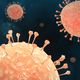 Hantavirus Mengintai: 23 Kasus Terdeteksi di Indonesia, Tingkat Kematian 13 Persen