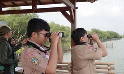 Sensus Burung Air 2026 Digelar di Pesisir Jakarta