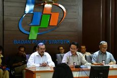 BPS: Produksi Padi 2015 Tertinggi dalam 10 Tahun Terakhir