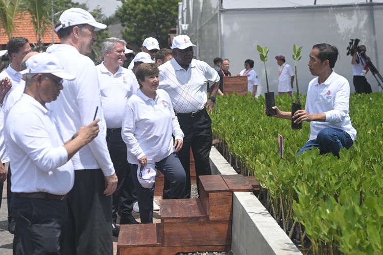 Presiden Joko Widodo (kanan) dan sejumlah pemimpin negara G20 dan organisasi internasional mengunjungi tempat persemaian dan pembibitan pohon mangrove di Taman Hutan Raya (Tahura) Ngurah Rai pada hari kedua KTT G20 Indonesia 2022 di Nusa Dua, Bali, Rabu (16/11/2022). ANTARA FOTO/MEDIA CENTER G20 INDONESIA/Prasetyo Utomo/wsj.