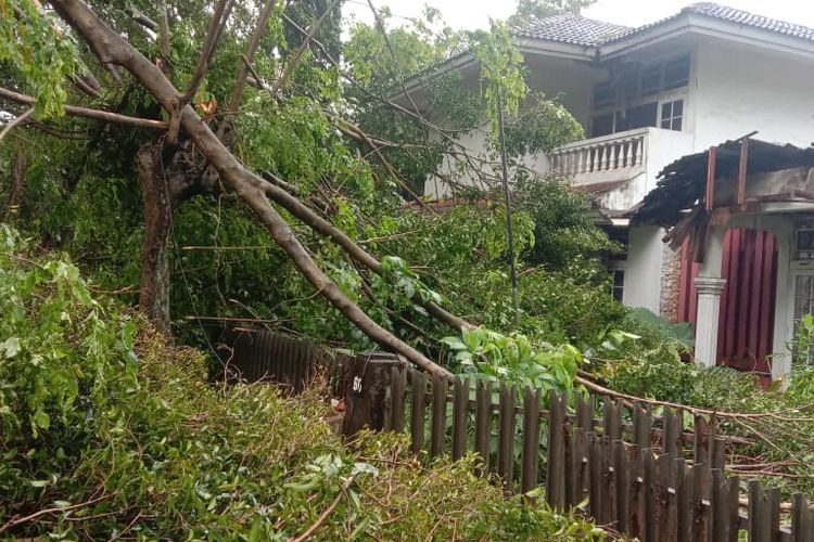 Anggota Dinas Pemadam Kebakaran Kota Depok tengah melakukan evakuasi pohon tumbang di Cinere, Depok, Sabtu (5/3/2022). (doc Damkar Depok)