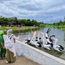 Harga Tiket Masuk Aviary Park Indonesia, Spot Ekowisata di Tangsel