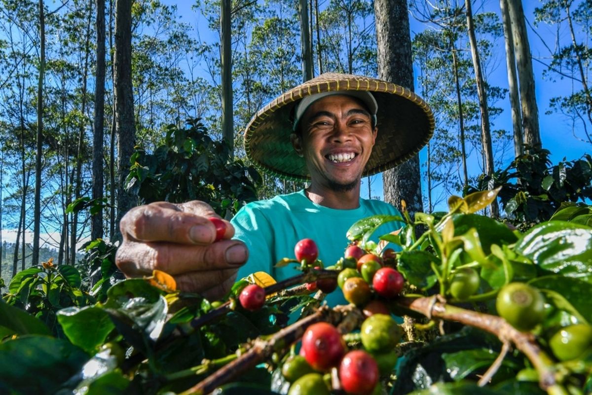 BRI semakin menegaskan komitmennya dalam menerapkan praktik keuangan berkelanjutan. 