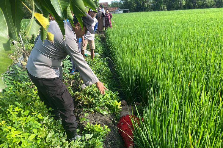 Aparat Kepolisian saat akan mengevakuasi seorang wanita yang meninggal dunia usai diduga tersengat aliran listrik di area persawahan Desa Kadiren, Kecamatan Kalitengah, Lamongan, Jawa Timur, Selasa (2/12/2025). 