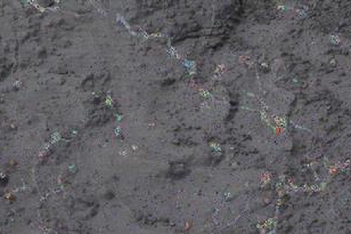 Target batu di Mars bernama Knorr. Warna-warna dalam gambar menyatakan jumlah mineral terdidrasi berdasarkan citra MastCam. 