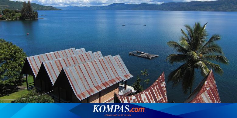 Tanam Pohon Dan Konservasi Lingkungan Upaya Pencegahan Bencana Alam