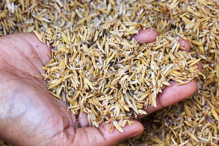 Ilustrasi sekam padi.