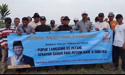 Serapan Gabah Petani Naik Rp 6.500 Bukan 