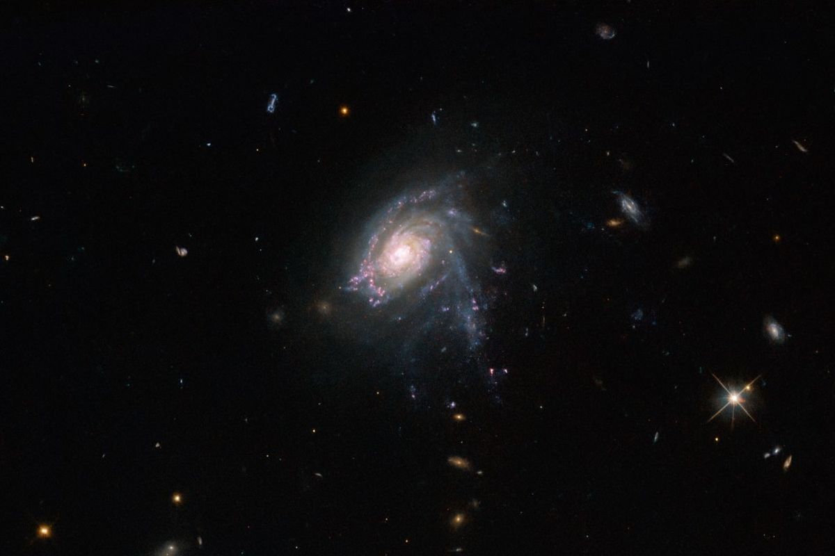 Gambar Galaksi JO175 atau galaksi ubur-ubur. Galaksi unik ini ditemukan Teleskop Luar Angkasa Hubble, lokasinya terletak di 650 juta tahun cahaya dari Bumi.