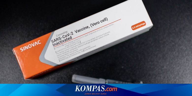 Anggota Dpr Khawatir Vaksin Sinovac Dijadikan Bisnis Pemerintah Indonesia Dan China Halaman All Kompas Com
