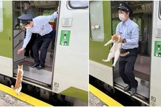 Ada Kucing Masuk, Perjalanan Kereta Api di Jepang Telat 30 Detik