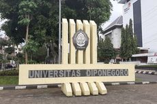 Dewan Profesor Undip Dorong Penggunaan Herbal untuk Obat Covid-19