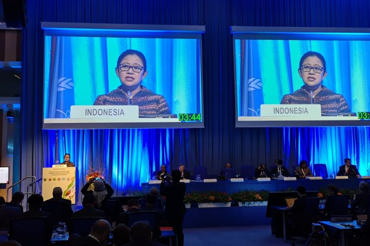  Menteri Koordinator Pembangunan Manusia dan Kebudayaan (PMK) Puan Maharani memberikan pidato di acara Konferensi Tingkat Menteri tentang Ilmu dan Teknologi Nuklir yang diselenggarakan IAEA di Wina, Austria, Rabu (28/11/2018)