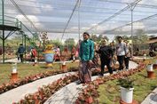 Taman Aglaonema Terbesar Indonesia di Sleman, Ini Jam Buka dan Harga Tiket Masuknya