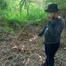 Kaki Kanan Ditemukan Dimakan Biawak di Tangerang, Diduga Bagian Tubuh Korban Mutilasi Dalam Koper