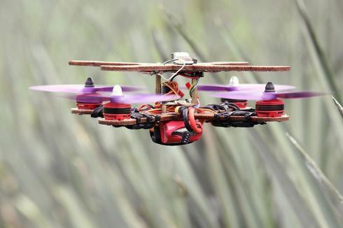 Peneliti Malaysia Bikin Drone dari Daun Nanas