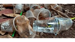 Murah tapi Sulit Didaur Ulang, Alasan Sampah Gelas Plastik AMDK Membludak