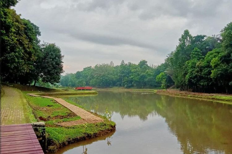 Suasana di Kebun Raya Cibinong.