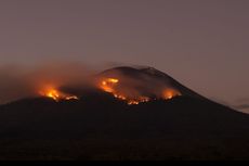 Kebakaran Hutan akibat Erupsi Gunung Ile Lewotolok Lembata Terus Meluas 