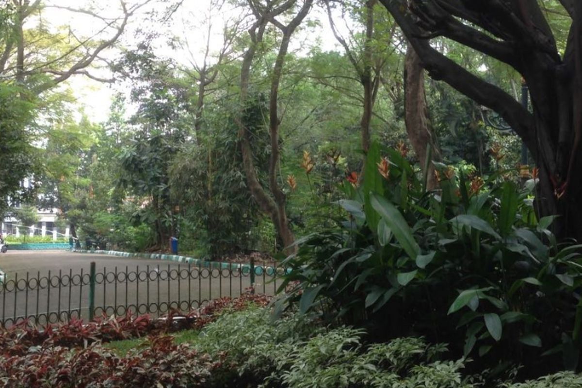 Hutan kota Srengseng yang berlokasi di Jalan Haji Kelik, Srengseng, Jakarta Barat, merupakan salah satu contoh pemanfaatan ruang terbuka hijau (RTH) di Jakarta.