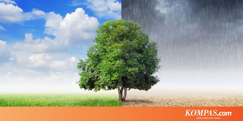 Yang Harus Diwaspadai Saat Musim Pancaroba, Angin Kencang hingga Puting Beliung