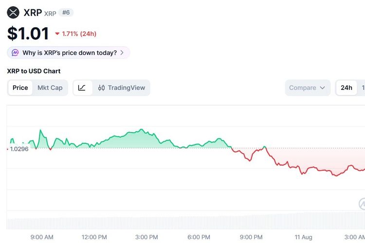 Harga XRP Hari Ini 11 Agustus 2026, Masih Merah