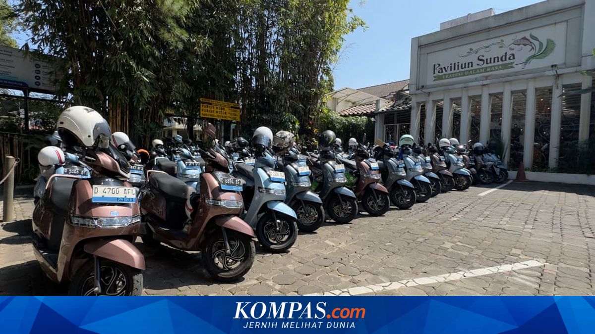 Pasar Motor Listrik Ramai, TVS Sentil Kehadiran Merek Musiman