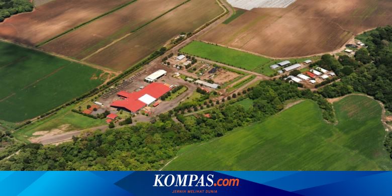 Kementerian Atr Bpn Tambah 3 000 Juru Ukur Tahun Ini
