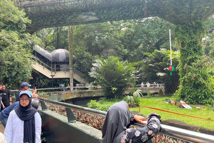 Libur Tahun Baru di Ragunan, Pengunjung Bisa Saksikan Atraksi Makan Satwa