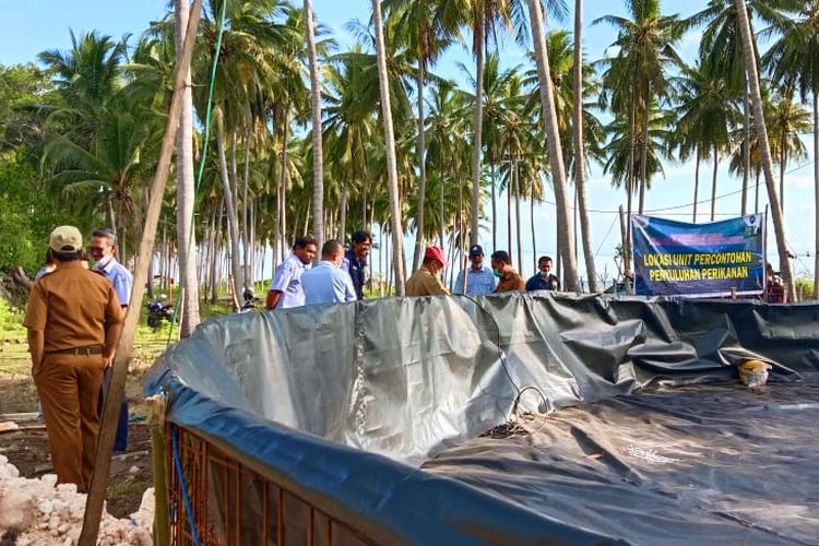 Balai Riset Perikanan Budidaya Air Payau dan Penyuluhan Perikanan (BRPBAP3) Maros Kementerian Kelautan dan Perikanan (Kementerian KP) menyerahkan bahan percontohan penyuluhan millenial shrimp farm (MSF) di Kabupaten Kepulauan Selayar, Sulawesi Selatan (Sulsel) pada Senin, (5/7/2021).