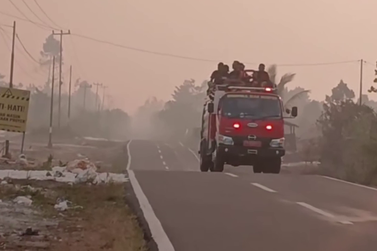 Gubernur Papua ke Warga soal Kabut Asap di Biak Numfor: Jangan Main Bakar-bakar Lahan