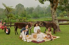 Bali Farm House, Serunya Bermain Bersama Alpaca
