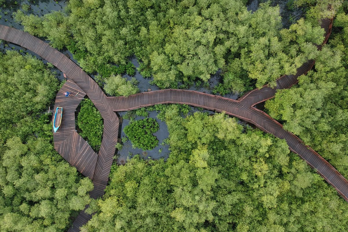 Kebun Raya Mangrove Surabaya merupakan kebun raya tematik mangrove yang pertama dan satu-satunya di Indonesia
