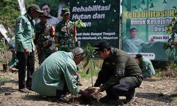 Bupati HST Pimpin Program Gerakan Rehabilitasi Hutan dan Lahan di Kecamatan Batang Alai Timur