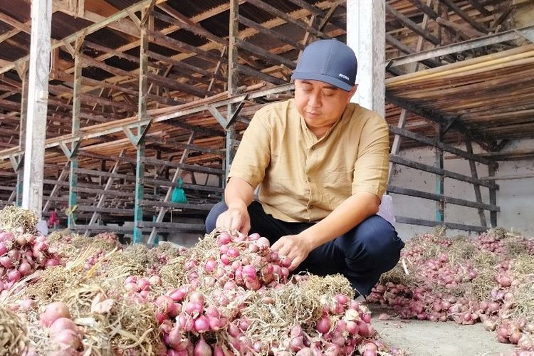 Ketua ABMI Dian Alex Chandra mengecek kualitas bawang merah di salah satu gudang bawang merah di Desa Klampok, Kecamatan Wanasari, Brebes, Jawa Tengah, Jumat (2/2/2024). 