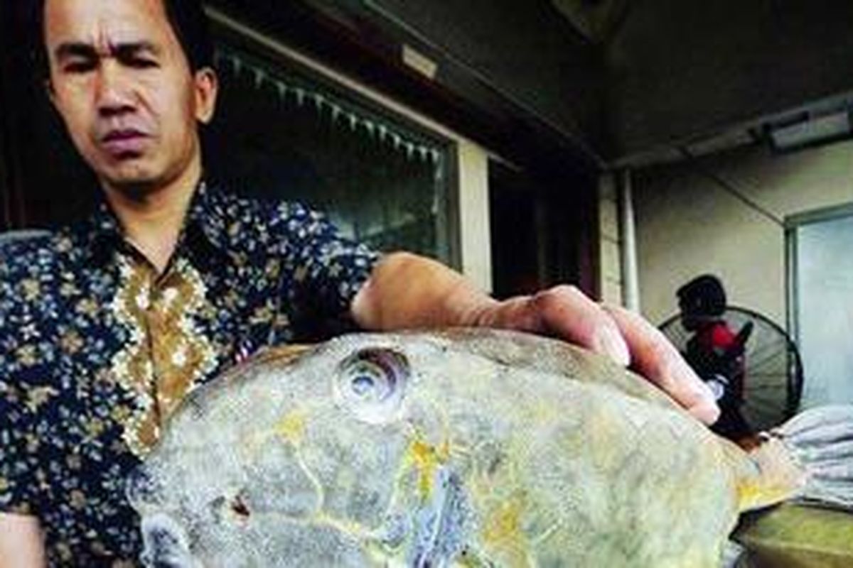 Pekerja menimbang ikan kudu-kudu yang akan digoreng di Rumah Makan Ujung Pandang di BSD City, Tangerang, Banten, Rabu (7/12/2011).